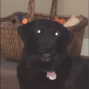 Meet your Posher, Tyler